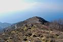 sul crinale